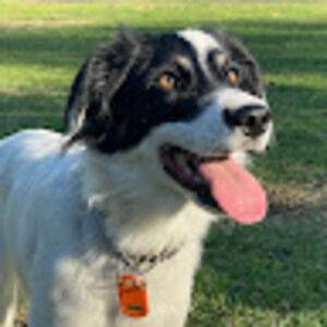 Meet your Posher, Adrian